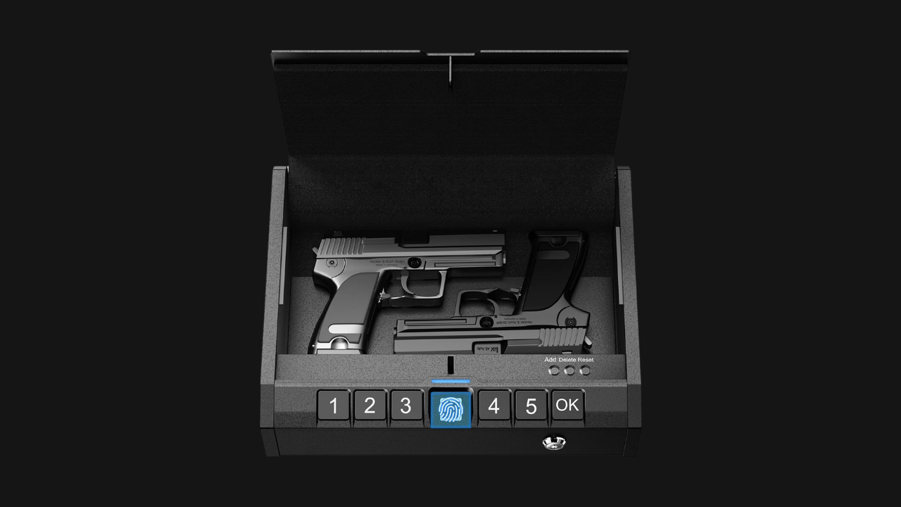 Best handgun safe in 2024